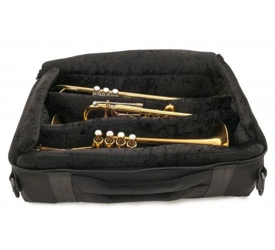 Triple trumpet case deals